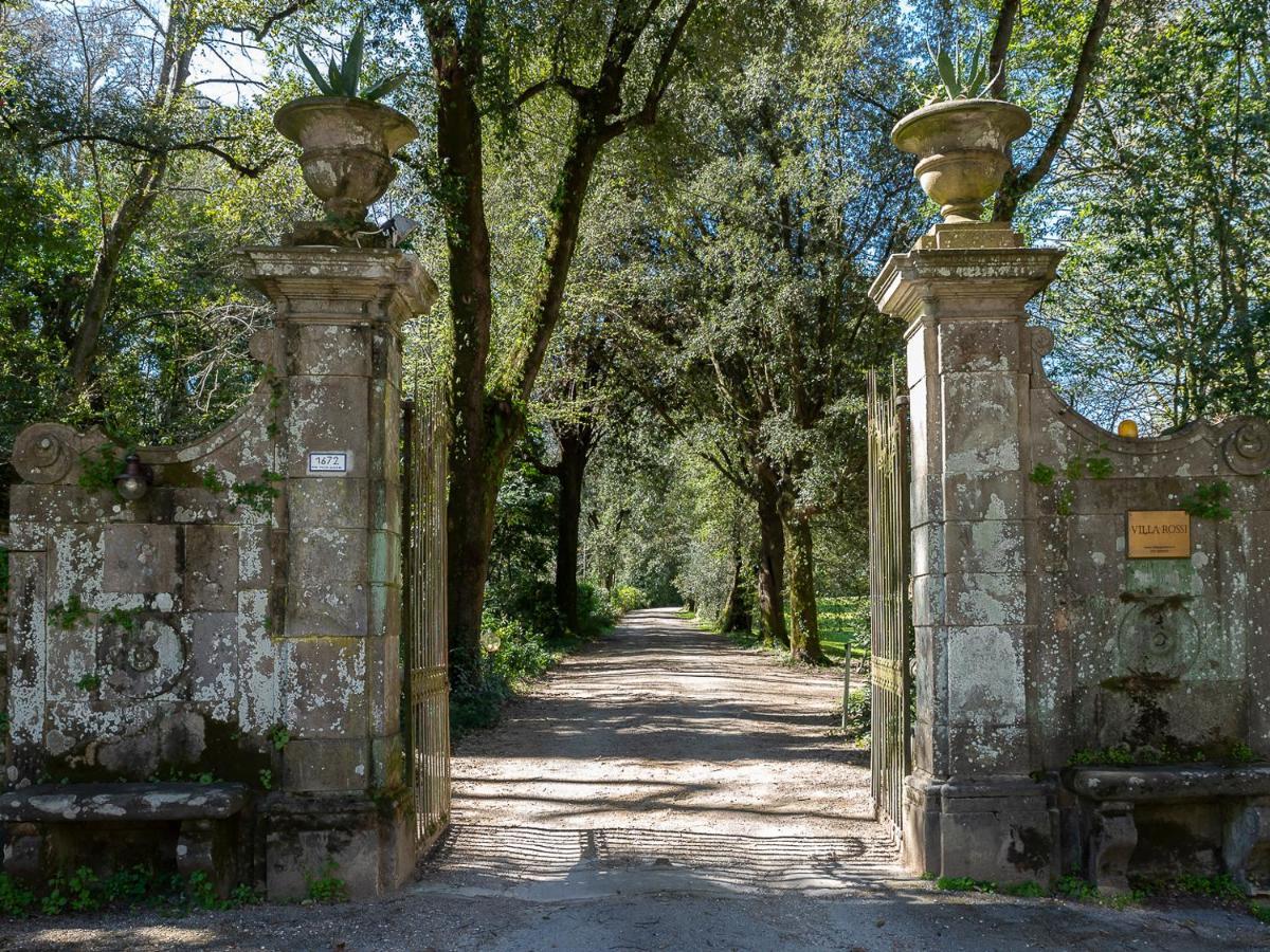 New! La Stanza In Villa ルッカ エクステリア 写真